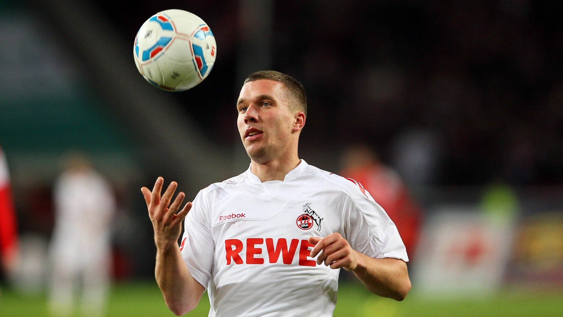 橄榄球冠军锦标赛南半球对决,四强势力鼎立,2020年橄榄球锦标赛