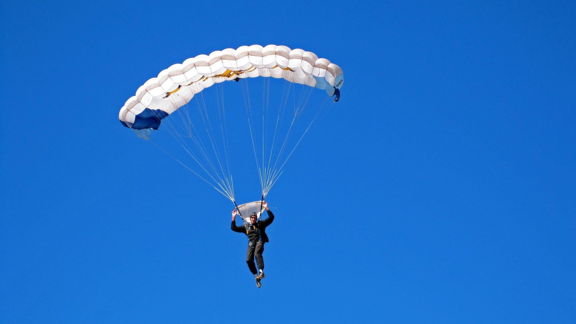 橄榄球冠军锦标赛南半球对决,四强势力鼎立,2020年橄榄球锦标赛